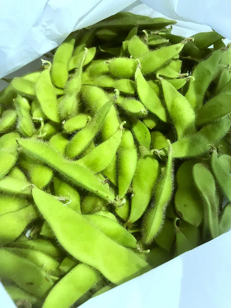 収穫したばかりの枝豆